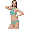 Cascade Banded Triangle Bikini Set View2