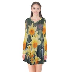 Sunny Day Long Sleeve V-neck Flare Dress by thedaffodilstore