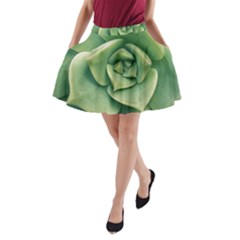 Echeveria Imbricata Closeup Photo A-line Pocket Skirt by dflcprintsclothing
