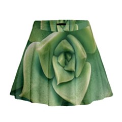 Echeveria Imbricata Closeup Photo Mini Flare Skirt by dflcprintsclothing