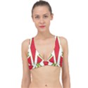 Abstract pattern geometric backgrounds Classic Banded Bikini Top View1