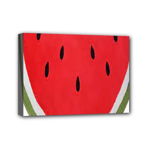 Watermelon Pillow Fluffy Mini Canvas 7  X 5  (stretched) by artworkshop