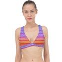 Rainbots Classic Banded Bikini Top View1