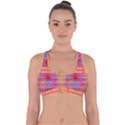Sherburst Cross Back Hipster Bikini Top  View1