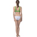 Abstract pattern geometric backgrounds  Classic Banded Bikini Top View2
