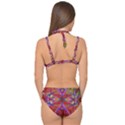 Super Shapes Double Strap Halter Bikini Set View2