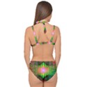 Blast Away Double Strap Halter Bikini Set View2