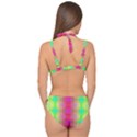Patterned Double Strap Halter Bikini Set View2