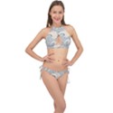 4c2e940f5bda3ab6630f3af5b374bd0a Cross Front Halter Bikini Set View1