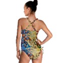 Colorful Structure Tankini Set View2