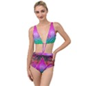 Trinfinite Tied Up Two Piece Swimsuit View1