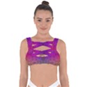 Stained Glass Bandaged Up Bikini Top View1