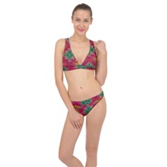 Dreamy Cheetah Classic Banded Bikini Set  by Thespacecampers