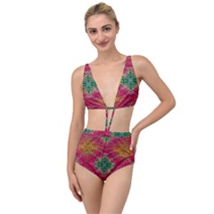 Dreamy Cheetah Tied Up Two Piece Swimsuit by Thespacecampers