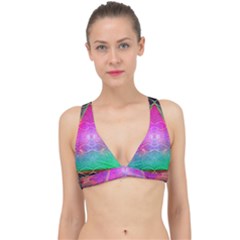 Trinfinity Classic Banded Bikini Top by Thespacecampers