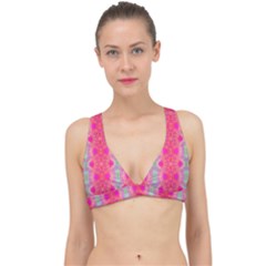Devine Connection Classic Banded Bikini Top by Thespacecampers