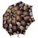 Snail Shells Pattern Arianta Arbustorum Hook Handle Umbrellas (Large) View2