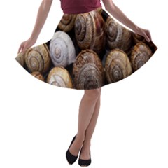 Snail Shells Pattern Arianta Arbustorum A-line Skater Skirt by artworkshop