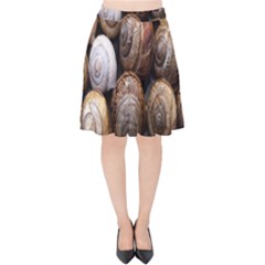 Snail Shells Pattern Arianta Arbustorum Velvet High Waist Skirt by artworkshop