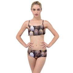 Snail Shells Pattern Arianta Arbustorum Layered Top Bikini Set by artworkshop