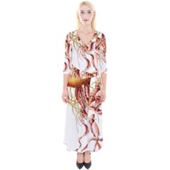 Animal Art Forms In Nature Jellyfish Quarter Sleeve Wrap Maxi Dress by Sapixe