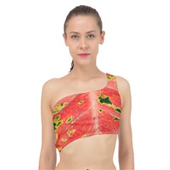 Aglonema Leaf Plant Pattern Flora Spliced Up Bikini Top  by Amaryn4rt