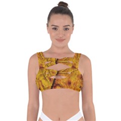 Leaf Leaf Veins Fall Bandaged Up Bikini Top by artworkshop