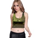 Nature Greenforest Trees Tree Landscape Racer Back Crop Top View1