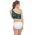 Beautiful Peacock Feathers Spliced Up Bikini Top  View2