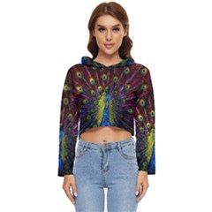 Beautiful Peacock Feather Women s Lightweight Cropped Hoodie by Jancukart