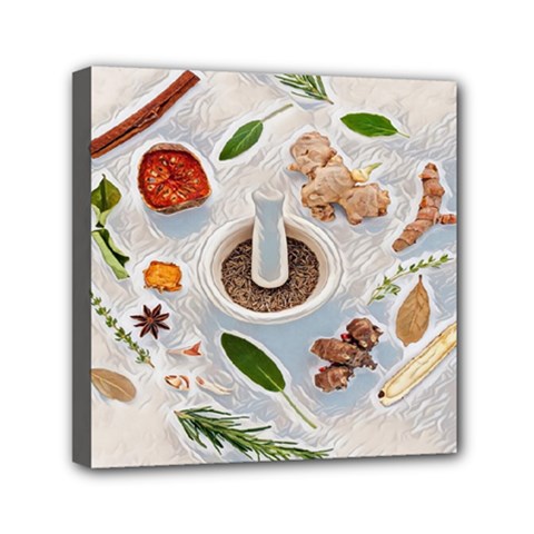 Healthy Ingredients Mini Canvas 6  X 6  (stretched) by ConteMonfrey