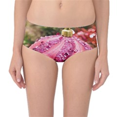 Christmas Decoration 9 Mid-waist Bikini Bottoms by artworkshop