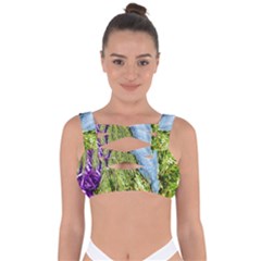 Decoration Bandaged Up Bikini Top by artworkshop