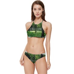 Beeches Trees Tree Lawn Forest Nature Banded Triangle Bikini Set by Wegoenart