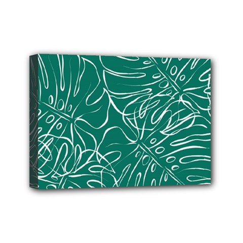 Tropical Monstera  Mini Canvas 7  X 5  (stretched) by ConteMonfrey