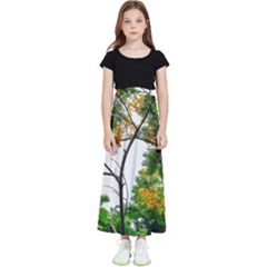 Tree Sunlight Forest Nature Landscape Sunrise Fog Kids  Flared Maxi Skirt by danenraven