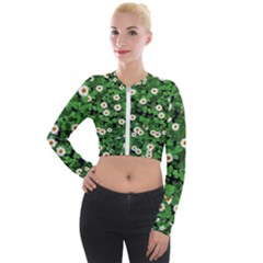 Daisies Clovers Lawn Digital Drawing Background Long Sleeve Cropped Velvet Jacket by Ravend