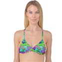 Colorful stylish design Reversible Tri Bikini Top View1