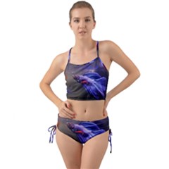 Betta Fish Photo And Wallpaper Cute Betta Fish Pictures Mini Tank Bikini Set by StoreofSuccess