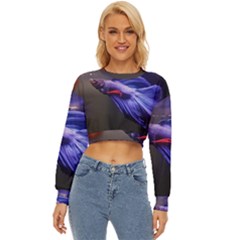 Betta Fish Photo And Wallpaper Cute Betta Fish Pictures Lightweight Long Sleeve Sweatshirt by StoreofSuccess