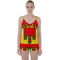 Auvergne Flag Tie Front Two Piece Tankini by tony4urban