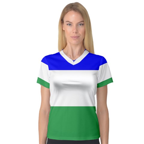 Ladinia Flag V-neck Sport Mesh Tee by tony4urban