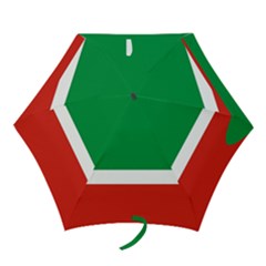 Chechen Republic Mini Folding Umbrellas by tony4urban