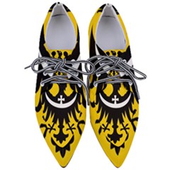 Dolnoslaskie Flag Pointed Oxford Shoes by tony4urban