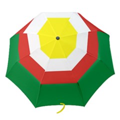 Lubuskie Flag Folding Umbrellas by tony4urban