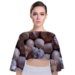 Beautiful Seashells  Tie Back Butterfly Sleeve Chiffon Top by StarvingArtisan