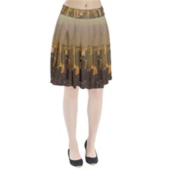 Buenos Aires City Aerial View002 Pleated Skirt by dflcprintsclothing
