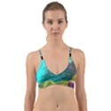 2023 02 08 18 04 00 Png Screenshot 20230208-171417 Donuts 2023 02 08 18 05 16 Png Wrap Around Bikini Top View1