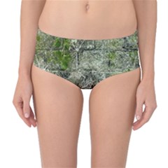 Old Stone Exterior Wall With Moss Mid-waist Bikini Bottoms by dflcprintsclothing