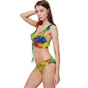 Colour Background Structure Lines Explosion Pop Low Cut Ruffle Edge Bikini Set View2